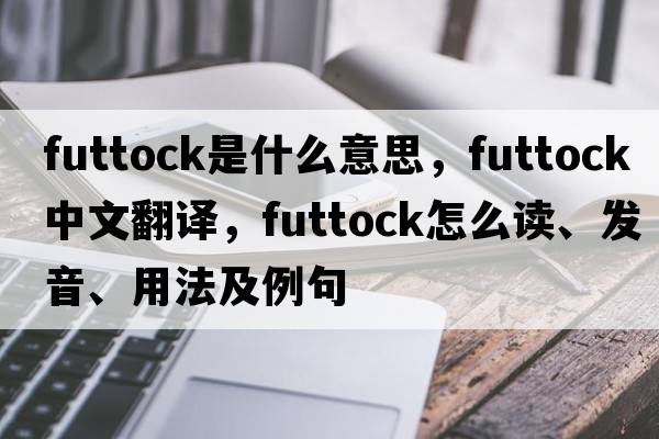futtock是什么意思，futtock中文翻譯，futtock怎么讀、發(fā)音、用法及例句