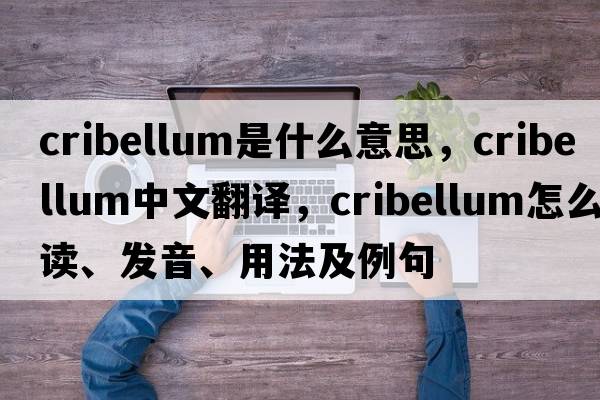 cribellum是什么意思，cribellum中文翻譯，cribellum怎么讀、發(fā)音、用法及例句