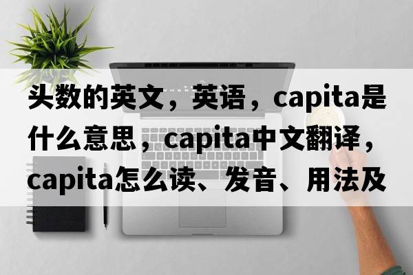 頭數(shù)的英文，英語，capita是什么意思，capita中文翻譯，capita怎么讀、發(fā)音、用法及例句