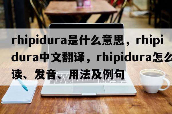 rhipidura是什么意思，rhipidura中文翻譯，rhipidura怎么讀、發(fā)音、用法及例句