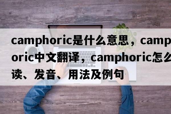 camphoric是什么意思，camphoric中文翻譯，camphoric怎么讀、發(fā)音、用法及例句