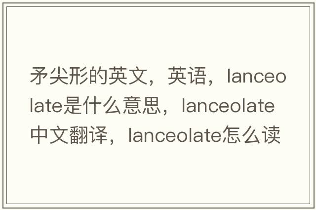 矛尖形的英文，英語，lanceolate是什么意思，lanceolate中文翻譯，lanceolate怎么讀、發(fā)音、用法及例句