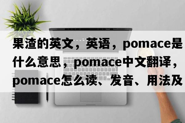 果渣的英文，英語，pomace是什么意思，pomace中文翻譯，pomace怎么讀、發(fā)音、用法及例句