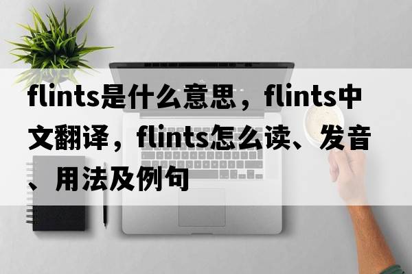 flints是什么意思，flints中文翻譯，flints怎么讀、發(fā)音、用法及例句