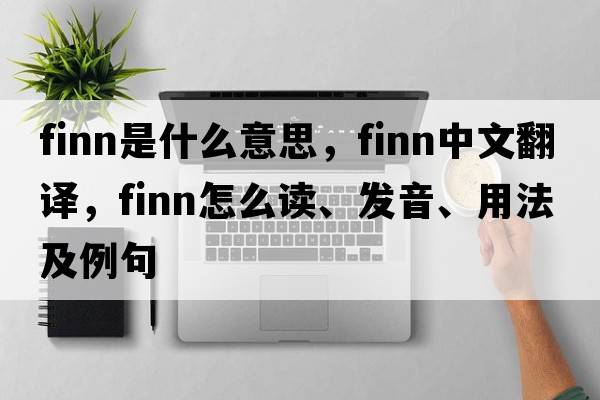 finn是什么意思，finn中文翻譯，finn怎么讀、發(fā)音、用法及例句