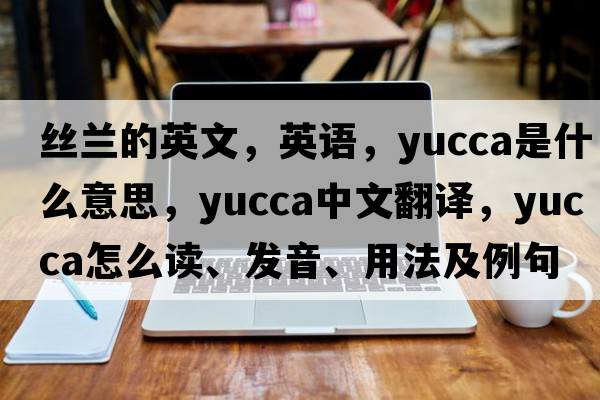 絲蘭的英文，英語，yucca是什么意思，yucca中文翻譯，yucca怎么讀、發(fā)音、用法及例句