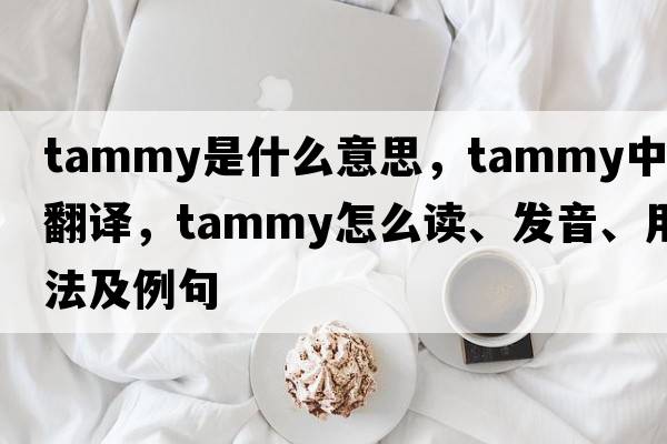 tammy是什么意思，tammy中文翻譯，tammy怎么讀、發(fā)音、用法及例句