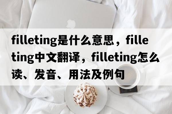 filleting是什么意思，filleting中文翻譯，filleting怎么讀、發(fā)音、用法及例句