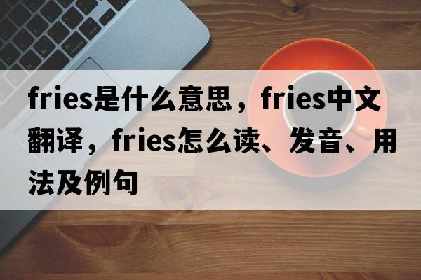 fries是什么意思，fries中文翻譯，fries怎么讀、發(fā)音、用法及例句