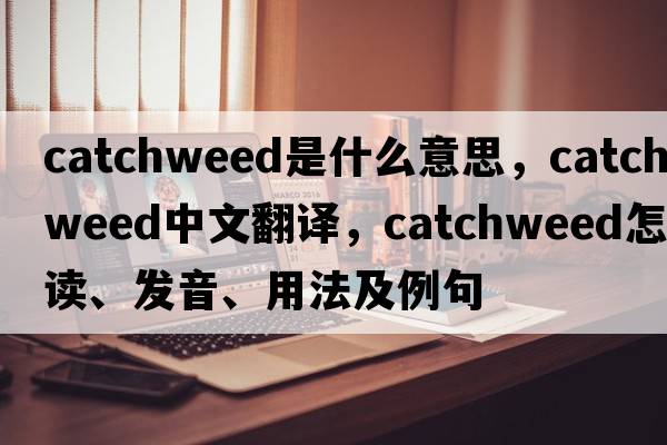 catchweed是什么意思，catchweed中文翻譯，catchweed怎么讀、發(fā)音、用法及例句