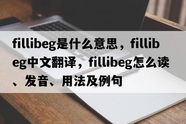 fillibeg是什么意思，fillibeg中文翻譯，fillibeg怎么讀、發(fā)音、用法及例句