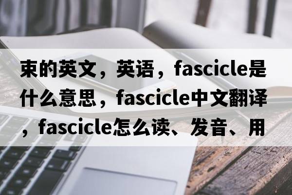 束的英文，英語，fascicle是什么意思，fascicle中文翻譯，fascicle怎么讀、發(fā)音、用法及例句