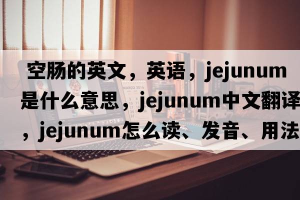 空腸的英文，英語，jejunum是什么意思，jejunum中文翻譯，jejunum怎么讀、發(fā)音、用法及例句