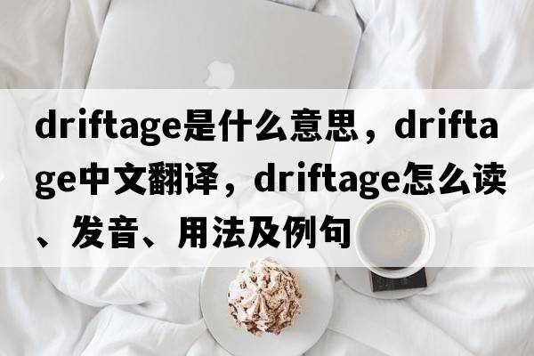 driftage是什么意思，driftage中文翻譯，driftage怎么讀、發(fā)音、用法及例句
