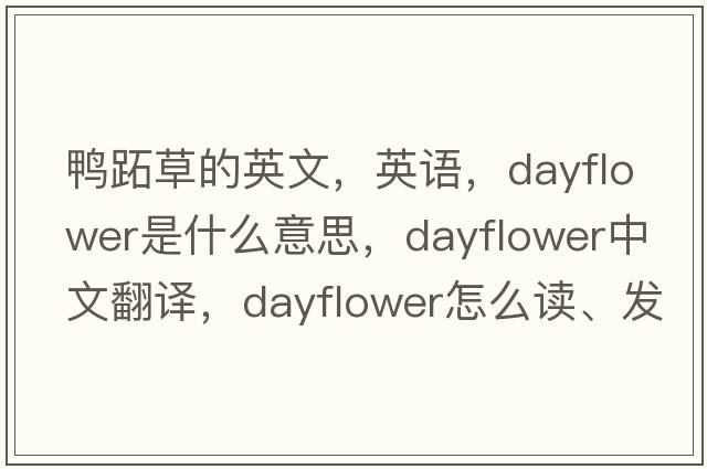 鴨跖草的英文，英語(yǔ)，dayflower是什么意思，dayflower中文翻譯，dayflower怎么讀、發(fā)音、用法及例句