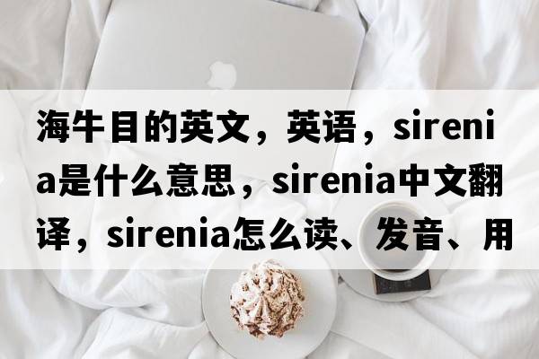海牛目的英文，英語，Sirenia是什么意思，Sirenia中文翻譯，Sirenia怎么讀、發(fā)音、用法及例句