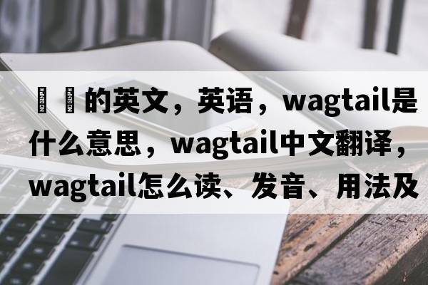 鹡鸰的英文，英語，wagtail是什么意思，wagtail中文翻譯，wagtail怎么讀、發(fā)音、用法及例句