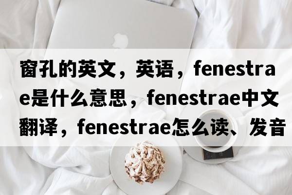 窗孔的英文，英語(yǔ)，fenestrae是什么意思，fenestrae中文翻譯，fenestrae怎么讀、發(fā)音、用法及例句
