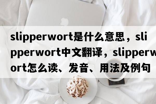 slipperwort是什么意思，slipperwort中文翻譯，slipperwort怎么讀、發(fā)音、用法及例句