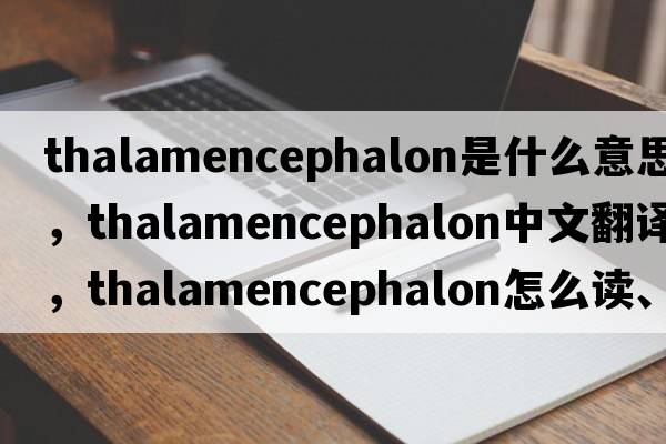 thalamencephalon是什么意思，thalamencephalon中文翻譯，thalamencephalon怎么讀、發(fā)音、用法及例句