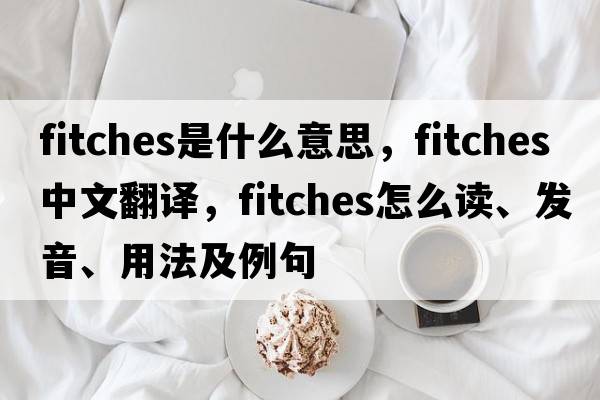 Fitches是什么意思，F(xiàn)itches中文翻譯，F(xiàn)itches怎么讀、發(fā)音、用法及例句