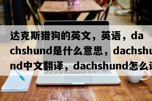 達(dá)克斯獵狗的英文，英語，dachshund是什么意思，dachshund中文翻譯，dachshund怎么讀、發(fā)音、用法及例句