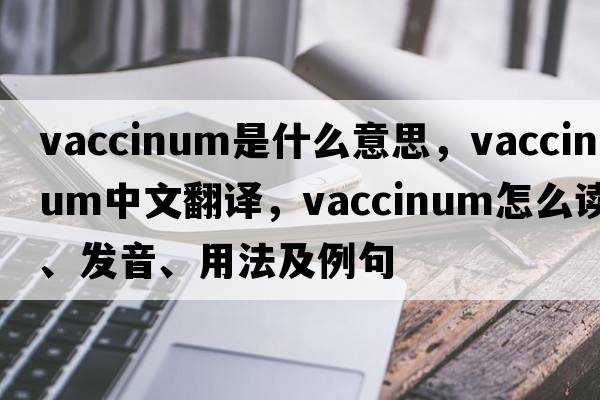 vaccinum是什么意思，vaccinum中文翻譯，vaccinum怎么讀、發(fā)音、用法及例句