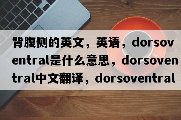 背腹側(cè)的英文，英語，dorsoventral是什么意思，dorsoventral中文翻譯，dorsoventral怎么讀、發(fā)音、用法及例句