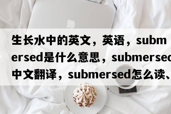 生長水中的英文，英語，submersed是什么意思，submersed中文翻譯，submersed怎么讀、發(fā)音、用法及例句