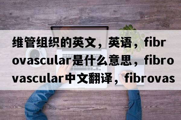 維管組織的英文，英語，fibrovascular是什么意思，fibrovascular中文翻譯，fibrovascular怎么讀、發(fā)音、用法及例句