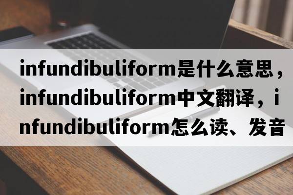infundibuliform是什么意思，infundibuliform中文翻譯，infundibuliform怎么讀、發(fā)音、用法及例句