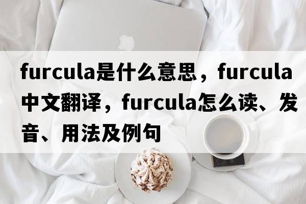 furcula是什么意思，furcula中文翻譯，furcula怎么讀、發(fā)音、用法及例句