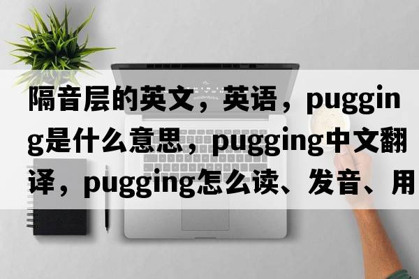 隔音層的英文，英語，pugging是什么意思，pugging中文翻譯，pugging怎么讀、發(fā)音、用法及例句