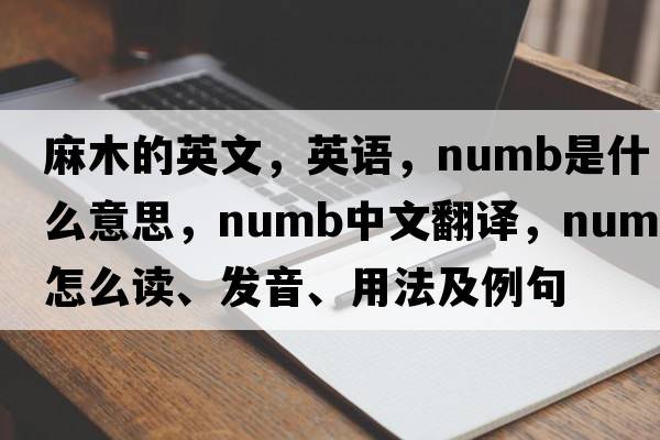 麻木的英文，英語，numb是什么意思，numb中文翻譯，numb怎么讀、發(fā)音、用法及例句
