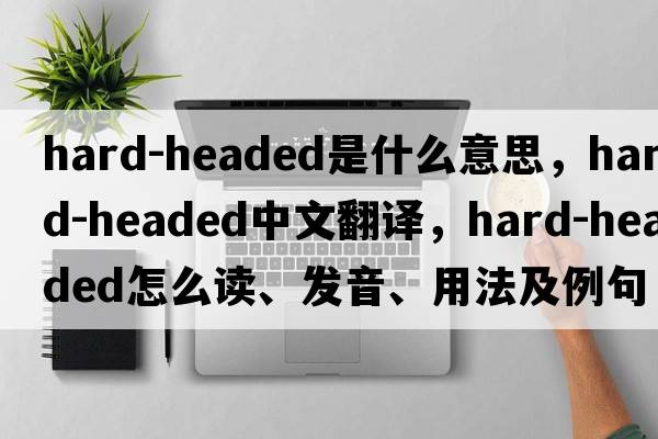 hard-headed是什么意思，hard-headed中文翻譯，hard-headed怎么讀、發(fā)音、用法及例句
