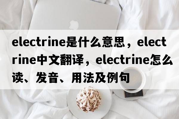 electrine是什么意思，electrine中文翻譯，electrine怎么讀、發(fā)音、用法及例句