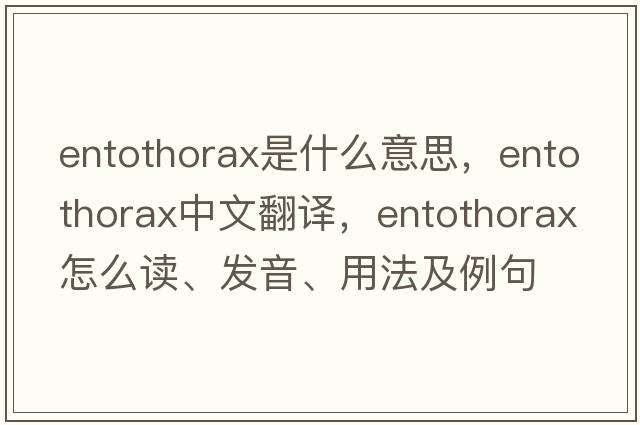 entothorax是什么意思，entothorax中文翻譯，entothorax怎么讀、發(fā)音、用法及例句