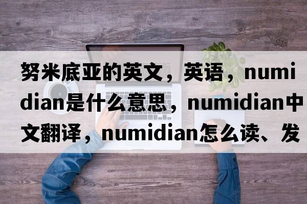 努米底亞的英文，英語(yǔ)，Numidian是什么意思，Numidian中文翻譯，Numidian怎么讀、發(fā)音、用法及例句