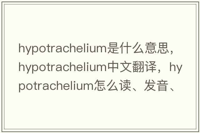 hypotrachelium是什么意思，hypotrachelium中文翻譯，hypotrachelium怎么讀、發(fā)音、用法及例句