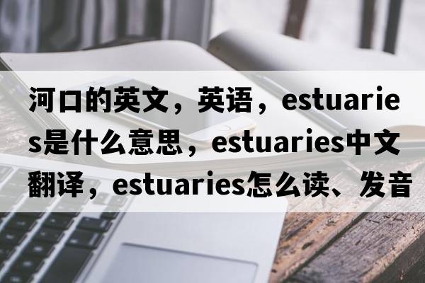 河口的英文，英語，estuaries是什么意思，estuaries中文翻譯，estuaries怎么讀、發(fā)音、用法及例句