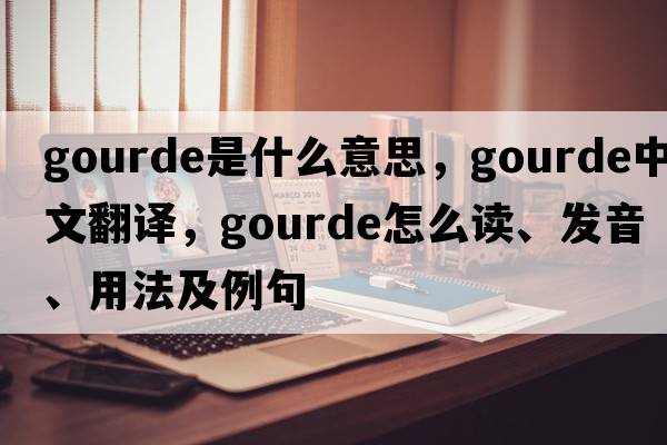 gourde是什么意思，gourde中文翻譯，gourde怎么讀、發(fā)音、用法及例句