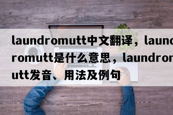 laundromutt中文翻譯，laundromutt是什么意思，laundromutt發(fā)音、用法及例句
