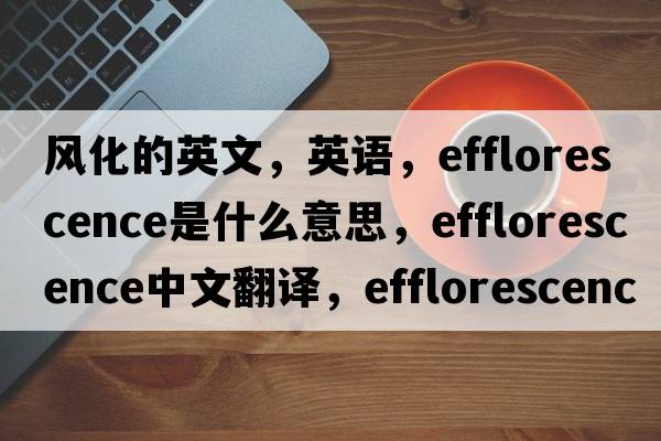 風(fēng)化的英文，英語，efflorescence是什么意思，efflorescence中文翻譯，efflorescence怎么讀、發(fā)音、用法及例句