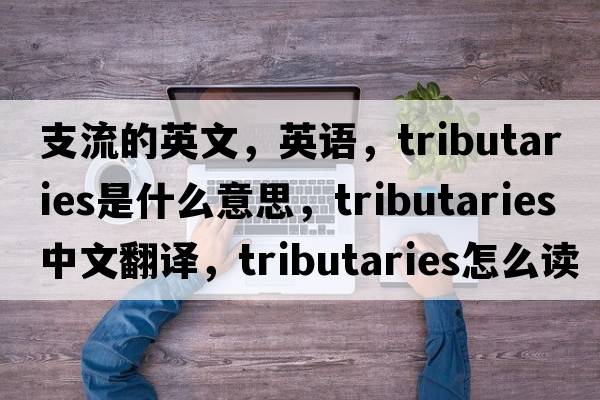 支流的英文，英語，tributaries是什么意思，tributaries中文翻譯，tributaries怎么讀、發(fā)音、用法及例句