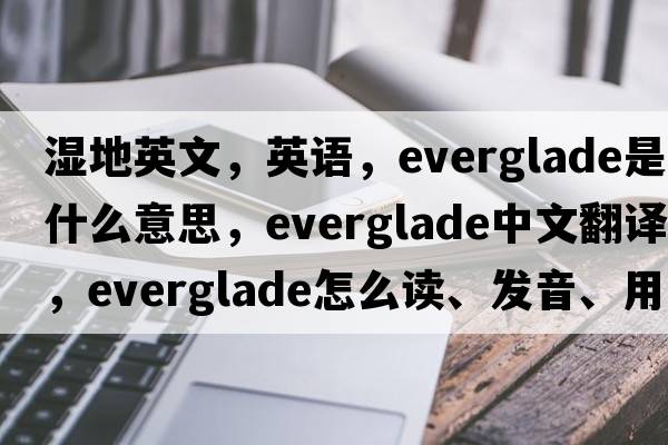 濕地英文，英語，everglade是什么意思，everglade中文翻譯，everglade怎么讀、發(fā)音、用法及例句