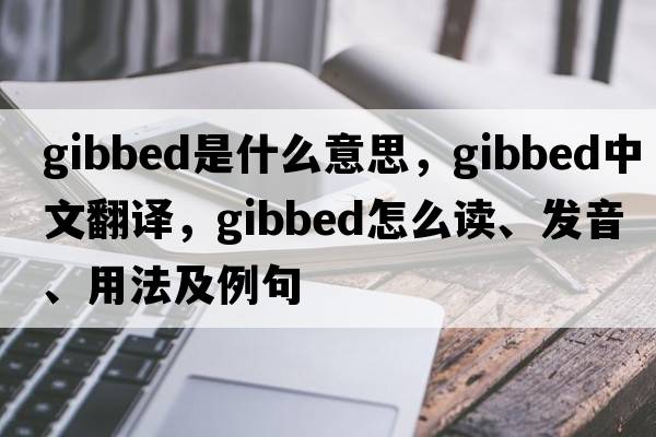 gibbed是什么意思，gibbed中文翻譯，gibbed怎么讀、發(fā)音、用法及例句