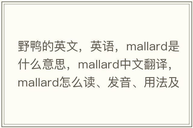 野鴨的英文，英語，mallard是什么意思，mallard中文翻譯，mallard怎么讀、發(fā)音、用法及例句