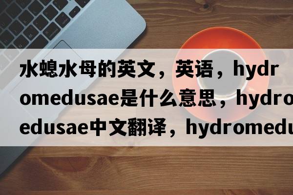 水螅水母的英文，英語(yǔ)，hydromedusae是什么意思，hydromedusae中文翻譯，hydromedusae怎么讀、發(fā)音、用法及例句