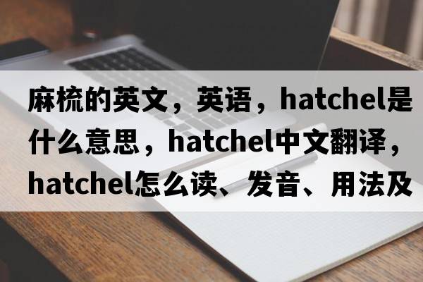麻梳的英文，英語(yǔ)，hatchel是什么意思，hatchel中文翻譯，hatchel怎么讀、發(fā)音、用法及例句