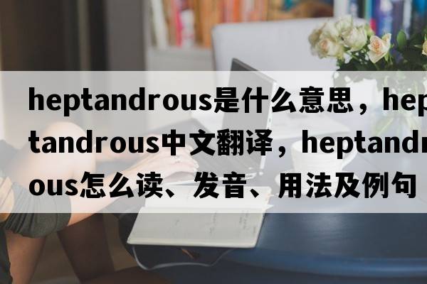 heptandrous是什么意思，heptandrous中文翻譯，heptandrous怎么讀、發(fā)音、用法及例句